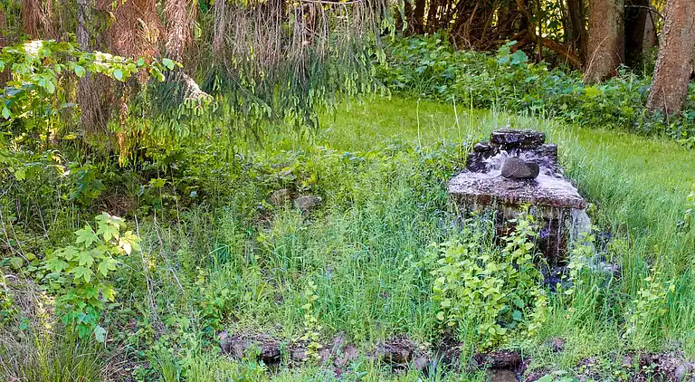 Sommerhus i Hornbæk
