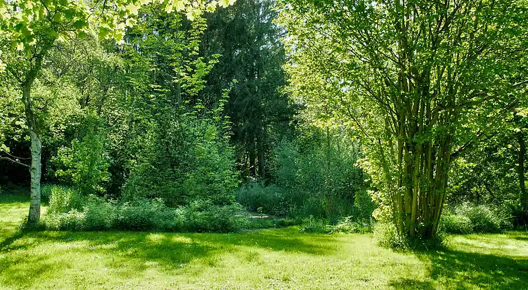 Sommerhus i Hornbæk