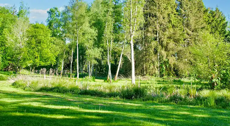 Sommerhus i Hornbæk