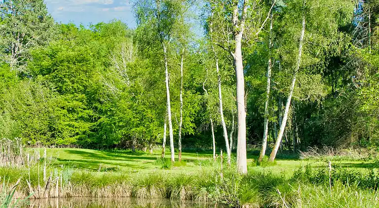 Sommerhus i Hornbæk