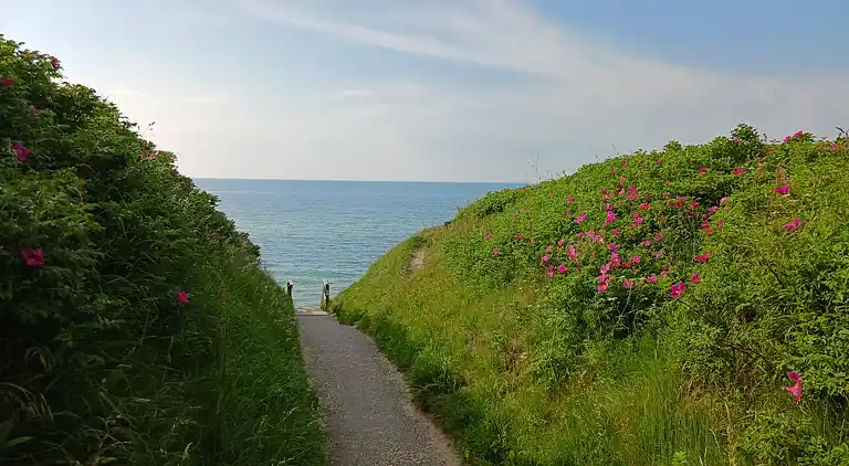 Lovely summer house with SPA, close to the beach.