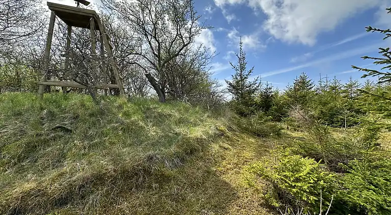 Gemütliches Tiny House in der Natur -Ferienhaus A
