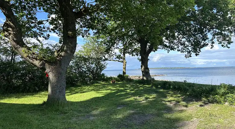 Ferienhaus in 1. Reihe zum schönen Strand