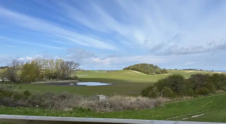 Gemütliches Tiny House in der Natur -Ferienhaus B