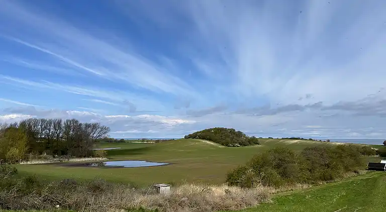 Gemütliches Tiny House in der Natur -Ferienhaus D