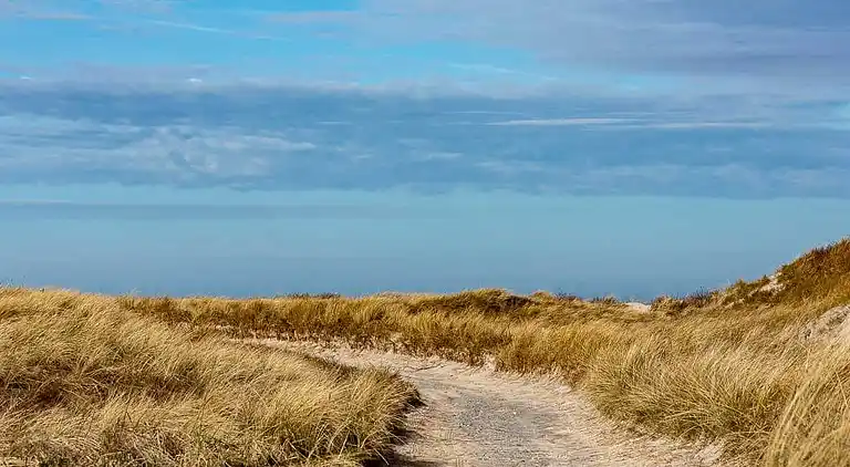 Unik ferielejlighed i Gl. Skagen