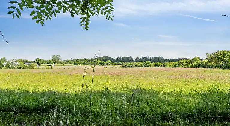 Wunderschöne gelbe Landvilla am Wasser.