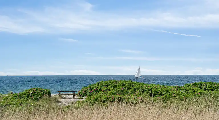 Fantastisk sommerhus med havudsigt 
