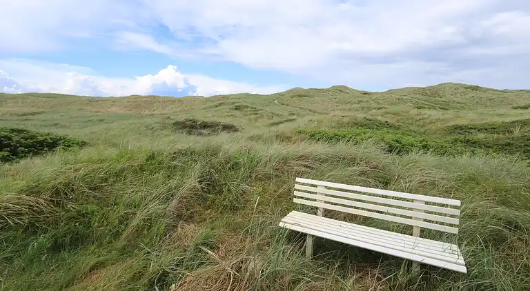 Sommerhus i Harboøre