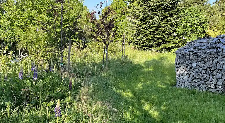 Ferienhaus in der Nähe des Strandes in Nødebohuse