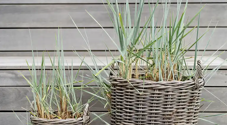 Lækkert sommerhus med panoramaudsigt og udespa