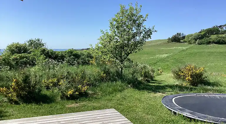Fredfyldt sommerhus ved strand og natur