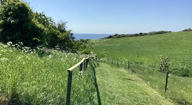 Fredfyldt sommerhus ved strand og natur