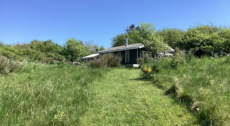 Fredfyldt sommerhus ved strand og natur