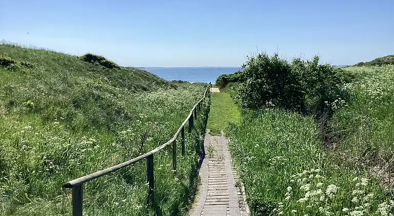 Fredfyldt sommerhus ved strand og natur