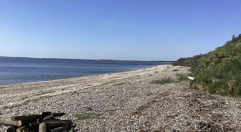 Fredfyldt sommerhus ved strand og natur
