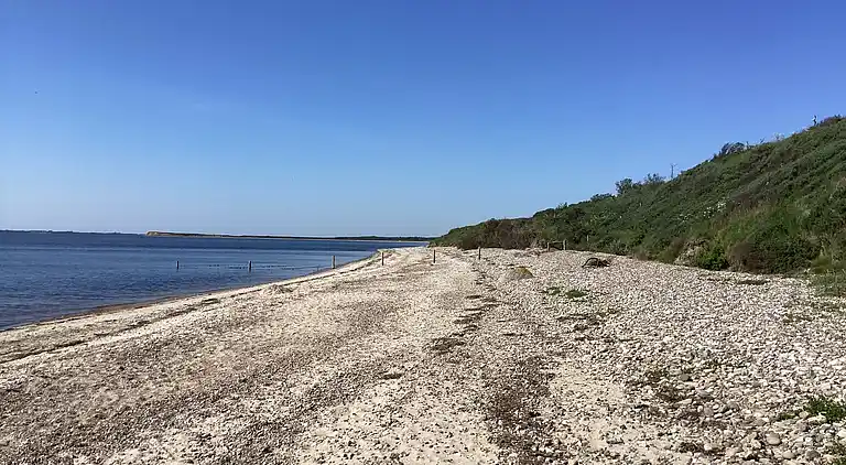Fredfyldt sommerhus ved strand og natur