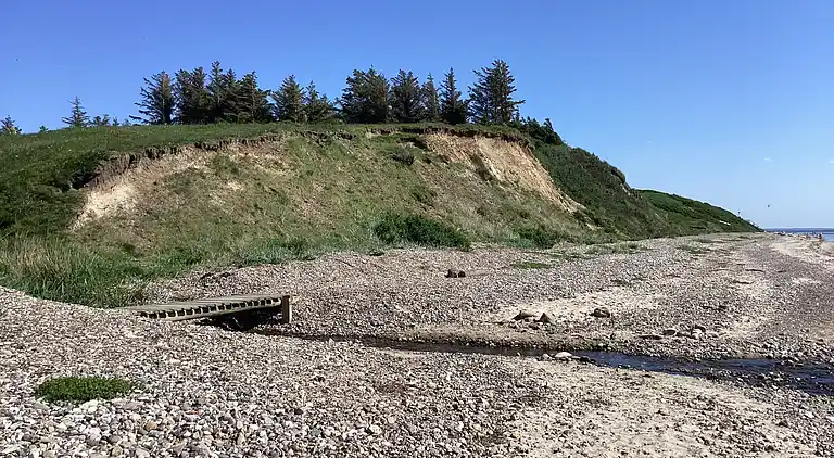Fredfyldt sommerhus ved strand og natur