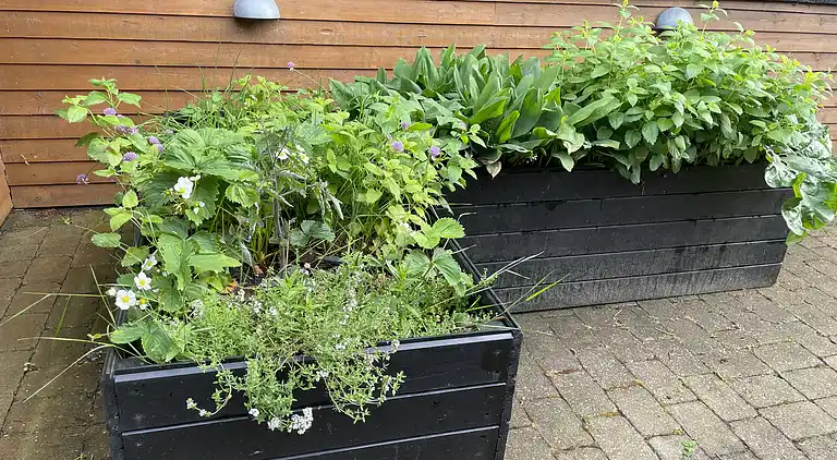 Gemütliches Bauernhaus mit fantastischer Umgebung