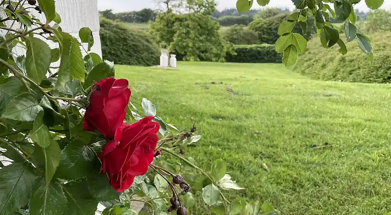 Gemütliches Bauernhaus mit fantastischer Umgebung