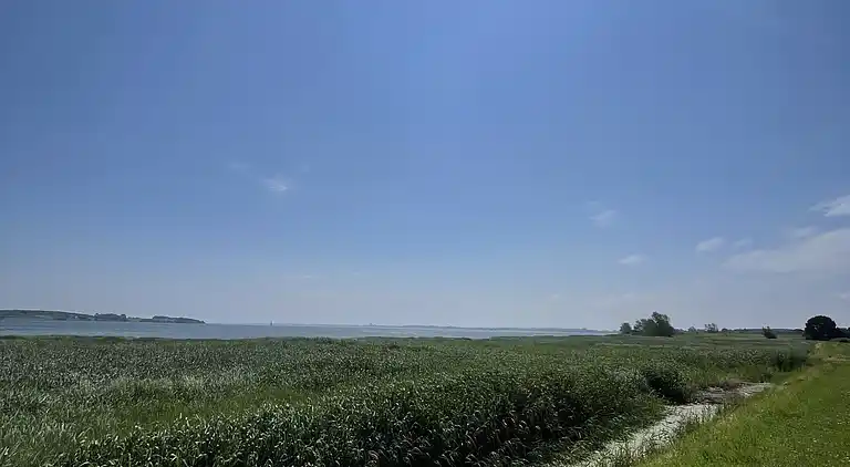 Sommerhausidylle bei Naturjuwel.
