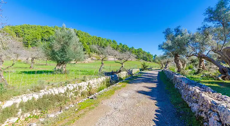 Villa in Urbanització Es Verger