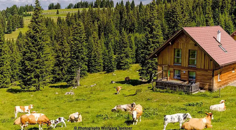 Sommerhus i Weinebene