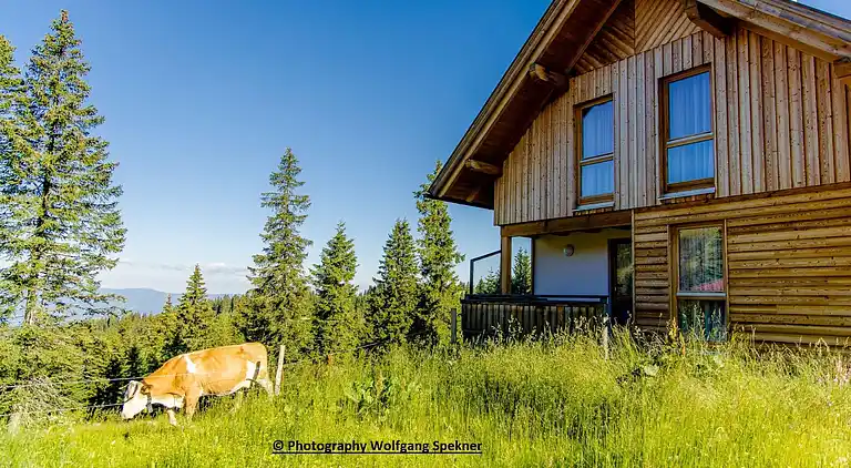 Sommerhus i Weinebene