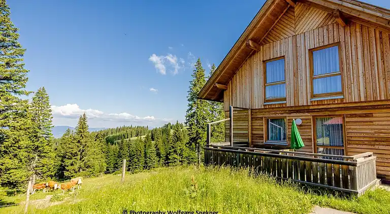 Sommerhus i Weinebene