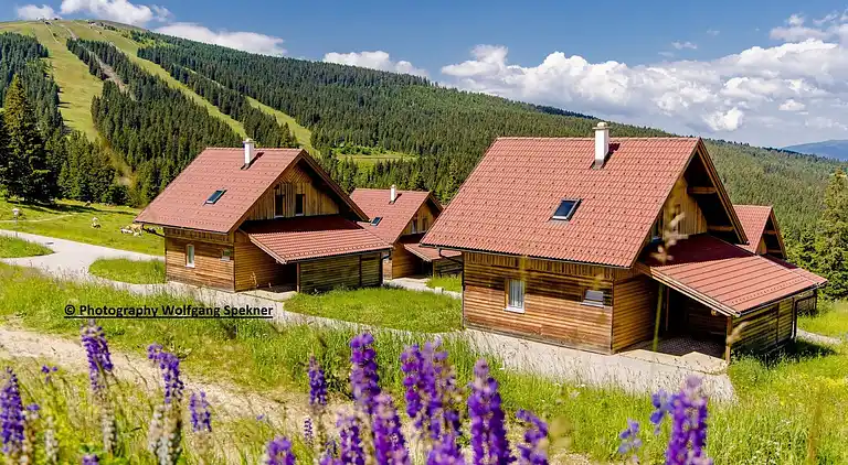 Sommerhus i Weinebene