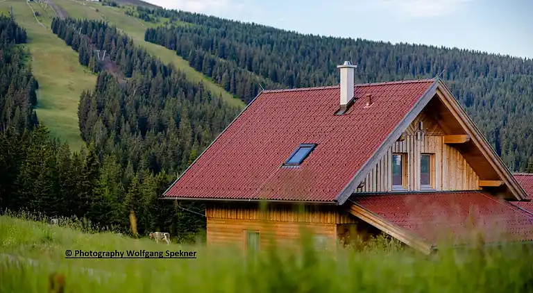 Sommerhus i Weinebene