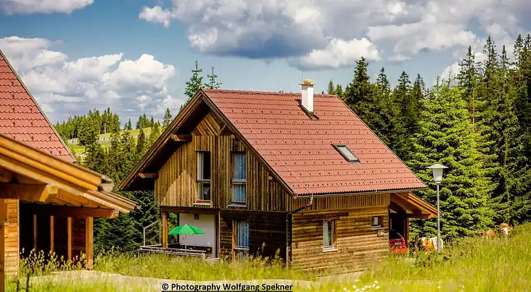 Sommerhus i Weinebene