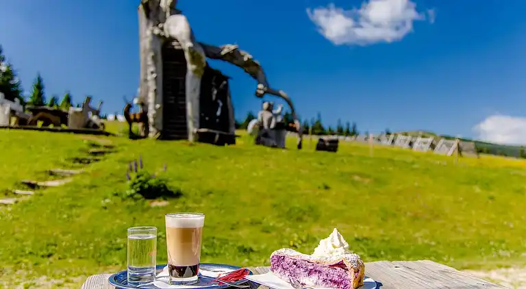 Sommerhus i Weinebene