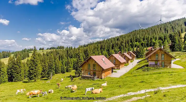 Sommerhus i Weinebene