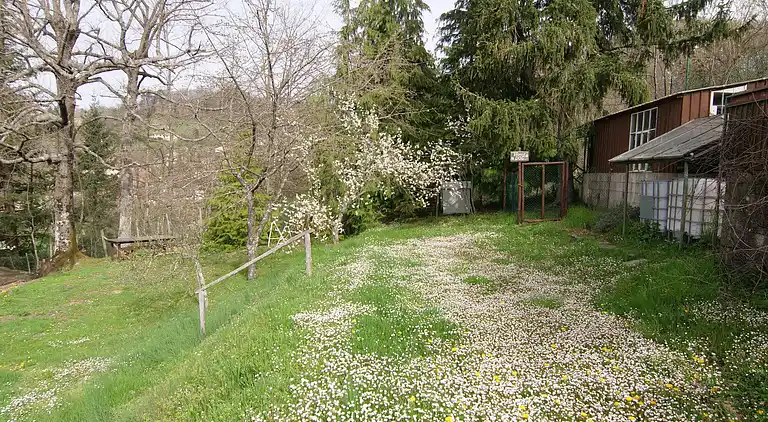 Sommerhus i Campo Tizzoro