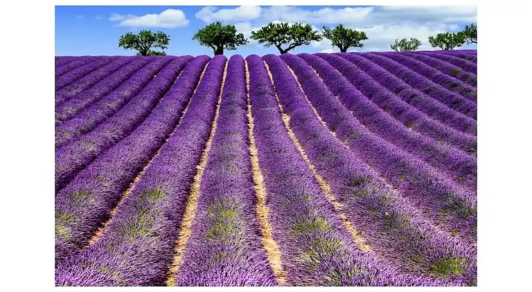 Vakantiehuis in Castellaccio