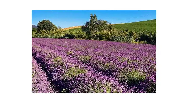 Vakantiehuis in Castellaccio