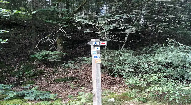 Holiday home in Lommersweiler