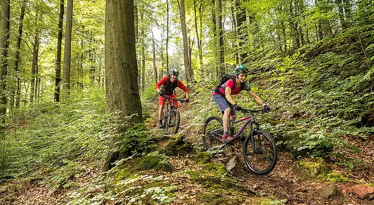 Holiday home in Lommersweiler