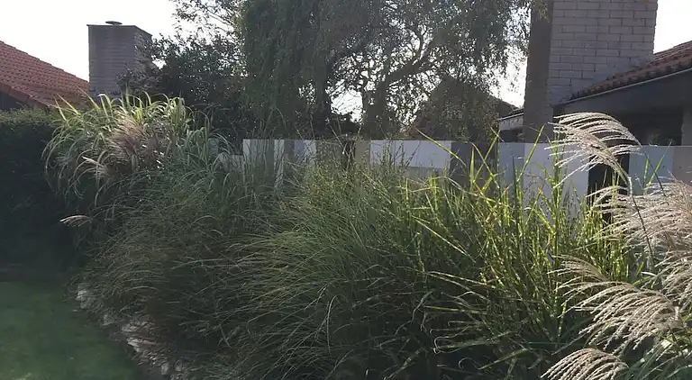 Ferienhaus in Julianadorp