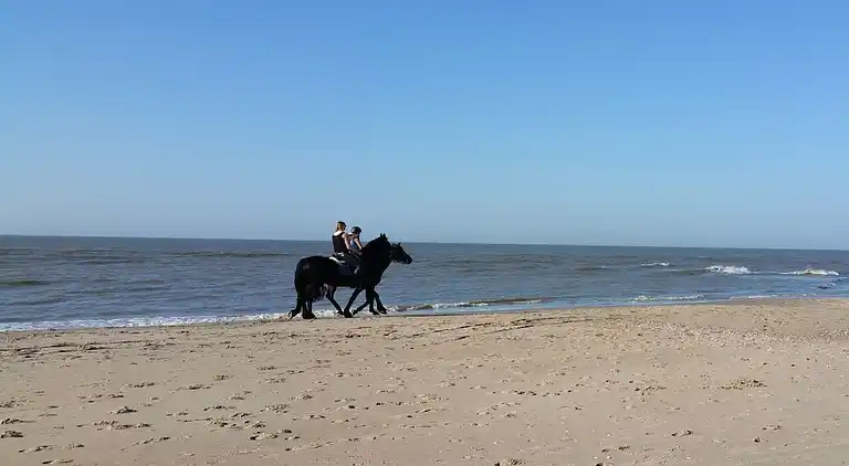 Ferienhaus in Julianadorp