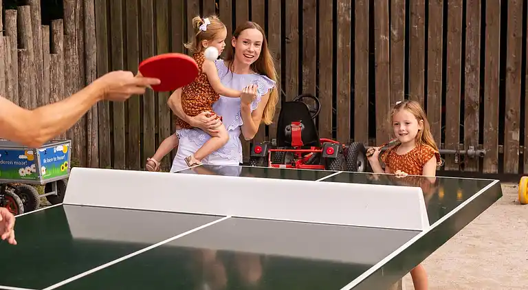 Maison de vacances au Brouwershaven