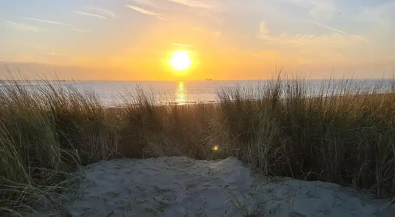 Maison de vacances au Baarland