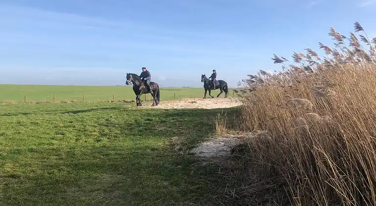 Holiday home in Warns