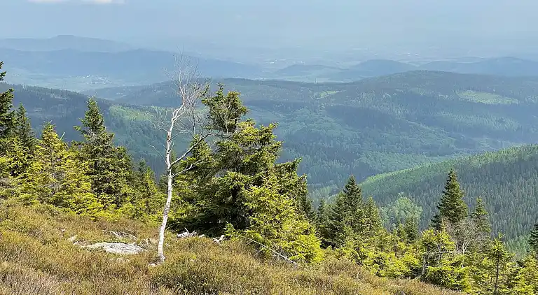 Holiday home in Javorník