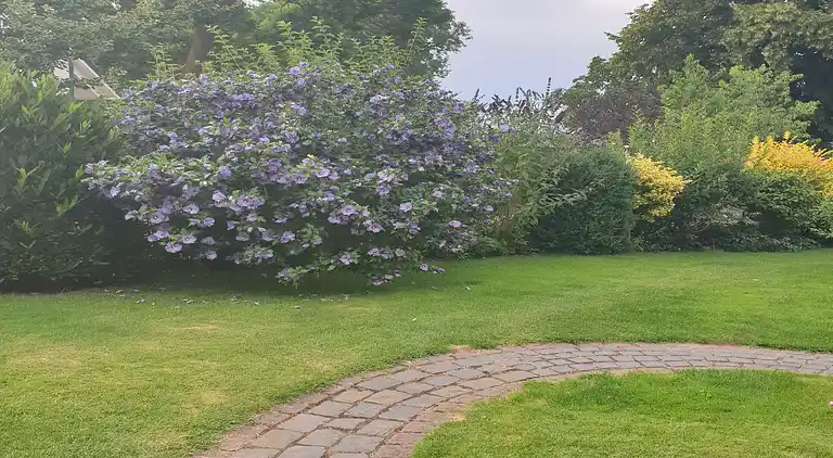 Holiday home in Kägsdorf