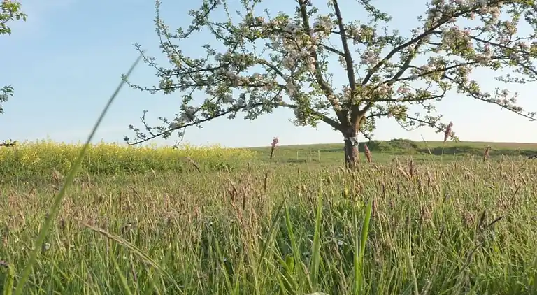 Ferienhaus in Bärenwalde