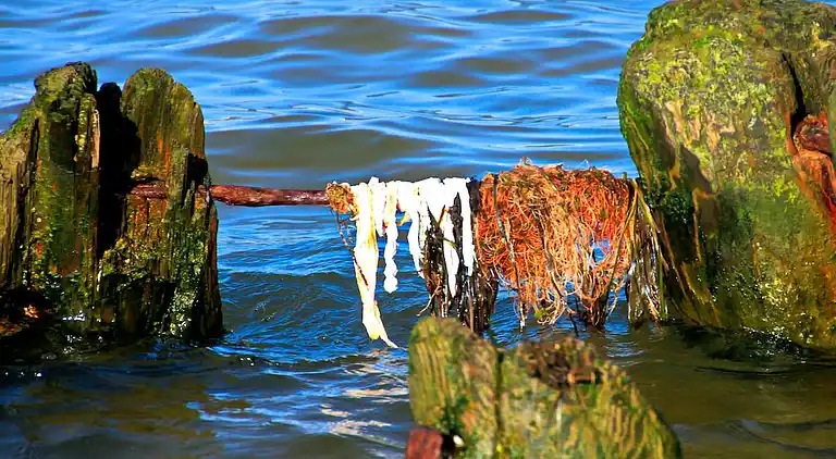 Ferienhaus in Kölpinsee