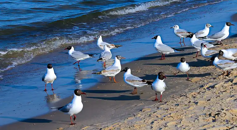 Ferienhaus in Kölpinsee