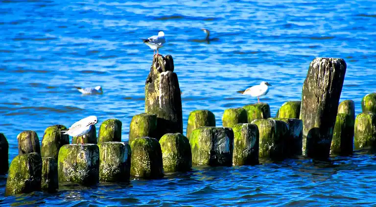 Ferienhaus in Kölpinsee